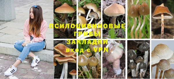 2c-b Алзамай