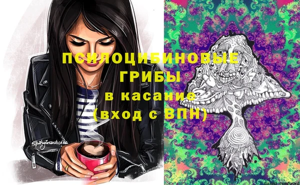 2c-b Алзамай